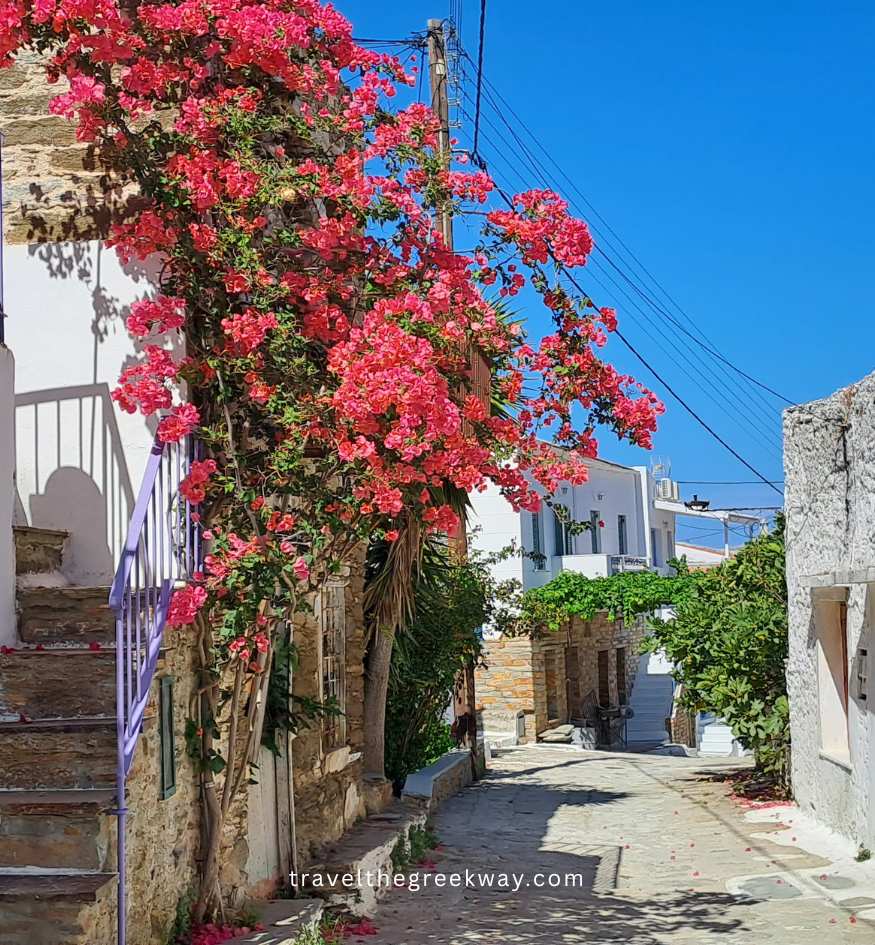 Bright bougainvillea flowers climbing a stone staircase in the hillside Chora of Ioulida on Kea (Tzia) Island, Cyclades.