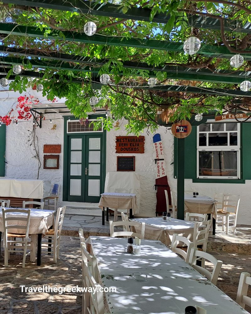 Shady outdoor seating area of Xeri Elia Douskos restaurant in Hydra, surrounded by vines and string lights.