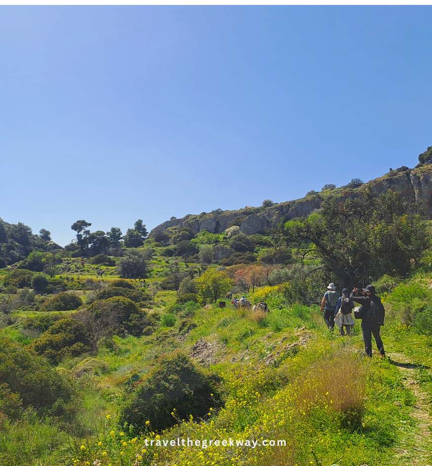 Group of people hiking along a green trail with yellow wildflowers on Aegina Island, overlooking the Saronic Gulf in Greece.