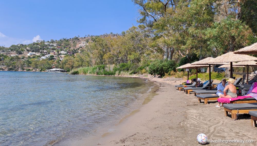 Aegina Fyki sandy Beach with people on sunbeds and trees. 