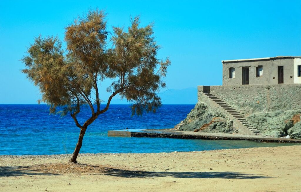 Agios Georgios Beach with  tamarisk tree and a house in Folegandros Greece.