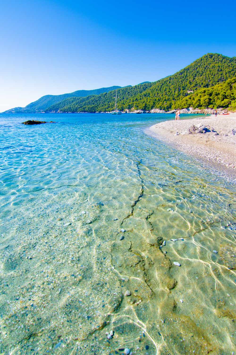 Skopelos island beach with turquoise waters and lush forest background in Greece. 
