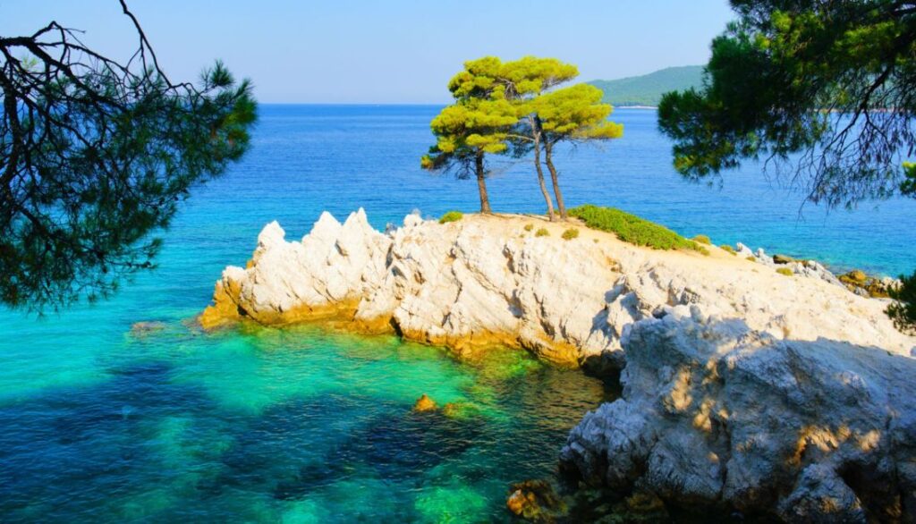 Amarandos Cove with 3 pine trees in Skopelos Greece