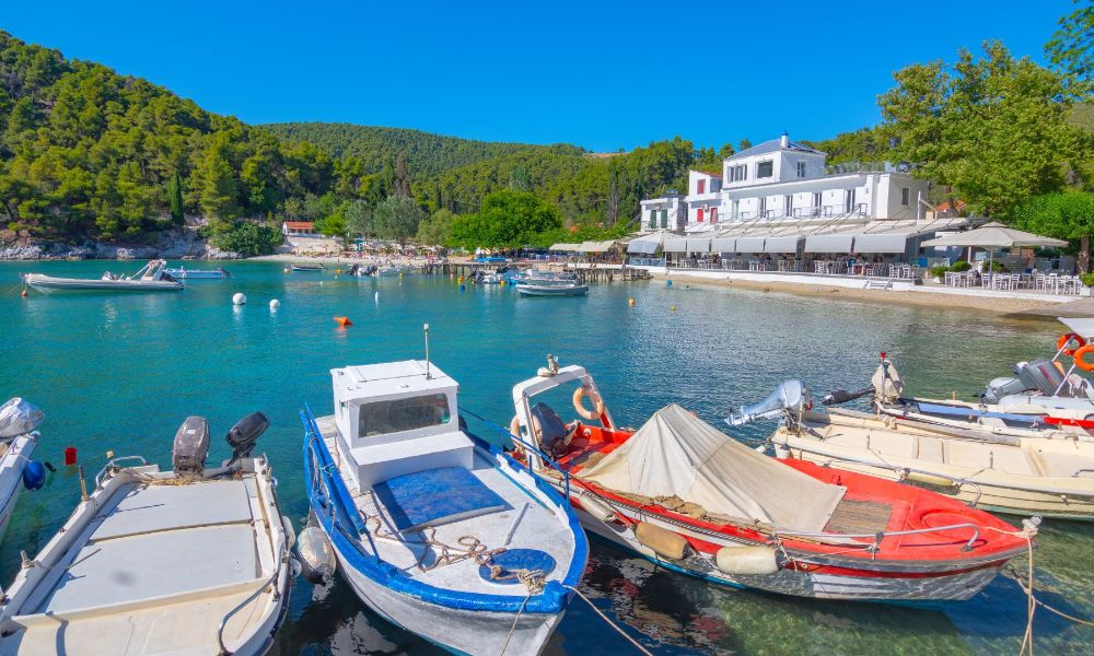 Agnontas beach with fishing boats and taverns surrounded by forest in Skopelos Greece