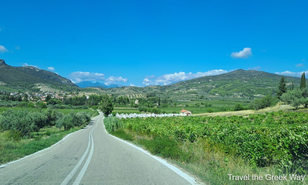 A road surrounded by vineyards in Nemea Greece