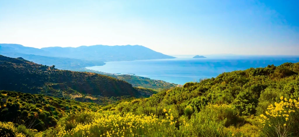 Things to Do in Samos Greece mountainous landscape with yellow flowers