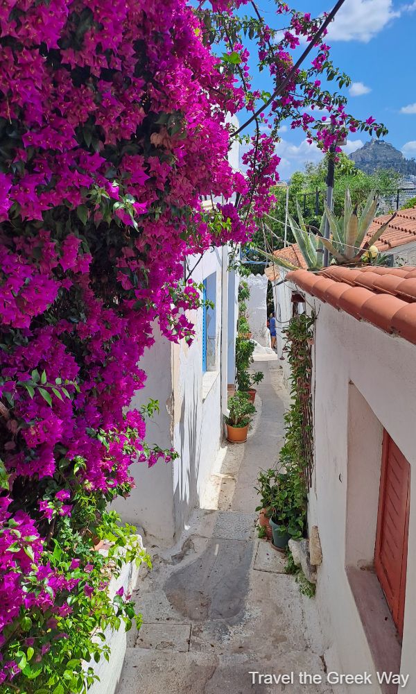 An alley with whitewashed houses and bougainvillea in Athens Plaka. 