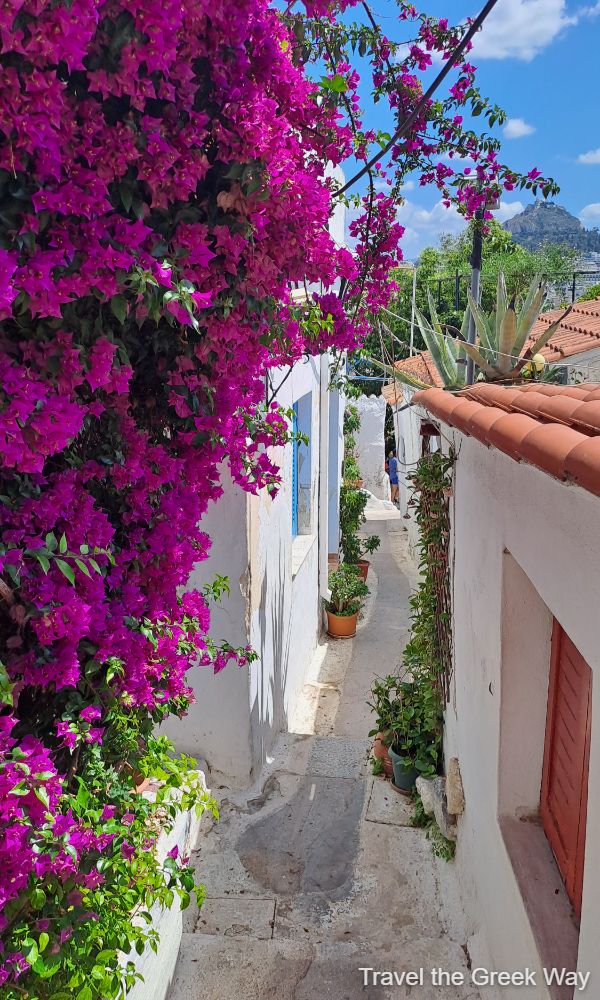 Charming narrow street in Plaka, Athens, with vibrant pink bougainvillea and whitewashed walls.