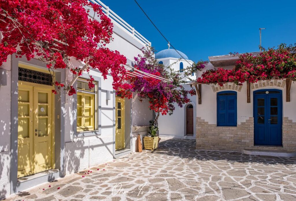 A narrow street in Antiparos with whitewashed buildings and blooming bougainvillea.