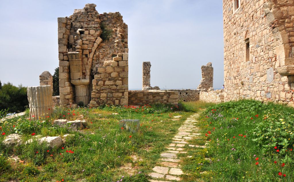 Things to Do in Samos Greece, ancient ruins with wildflowers