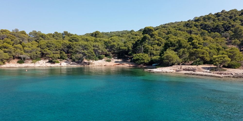 A beach with many trees in a sunny day in Agia Paraskevi Beach in Spetses Greece.