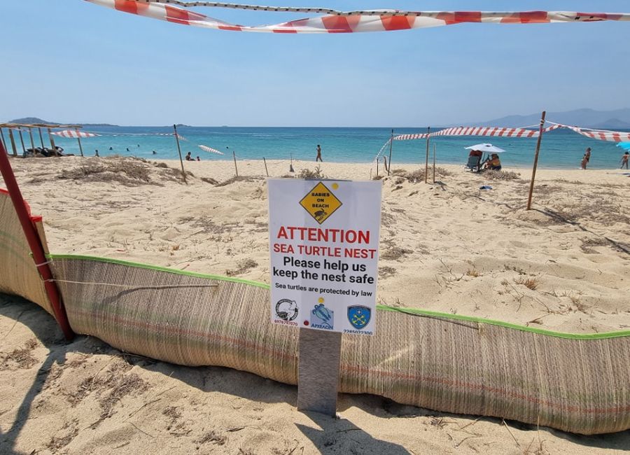 Plaka beach in Naxos with  protected  turtle nest.