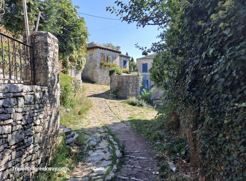 A cobblestone alley with trees in Monodendri Greece.