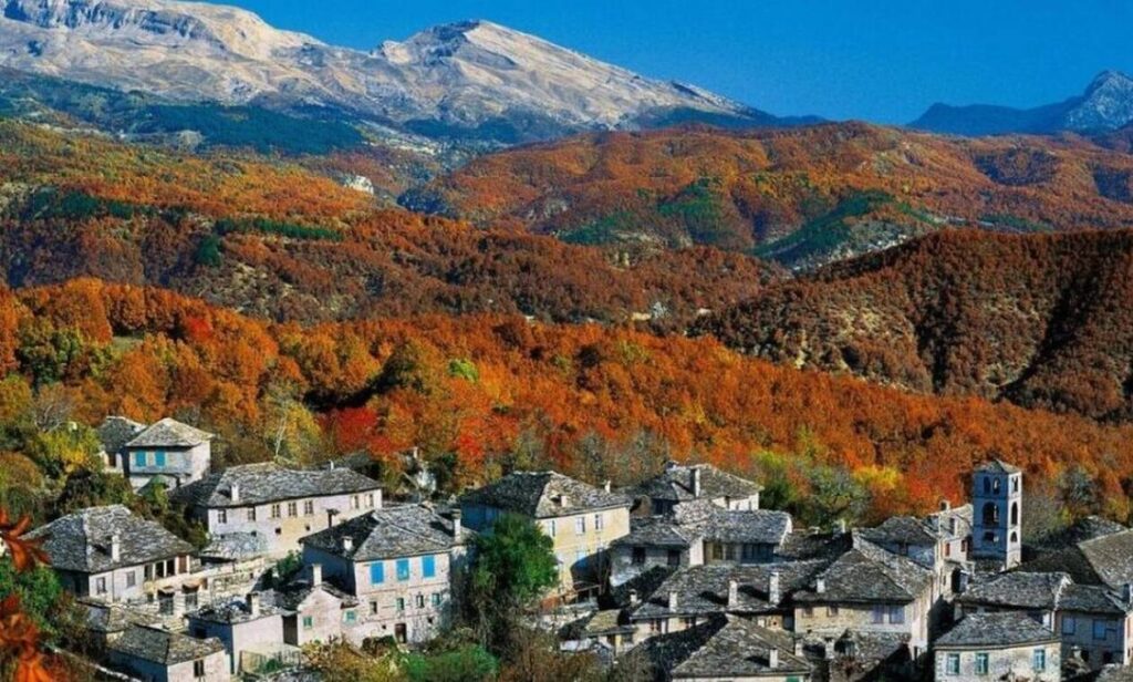 The fall brown leaves on the mountain in Zagorei Epirus western Greece. 