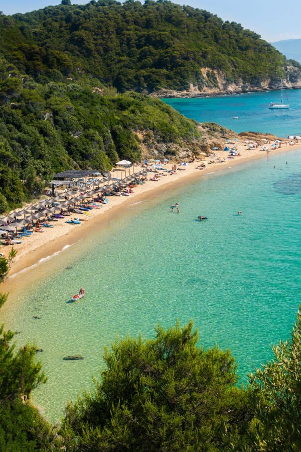 An idyllic view of a sandy shoreline hugged by lush pine trees, with the crystal-clear turquoise waters of Skiathos Island invitingly lapping at the shore.