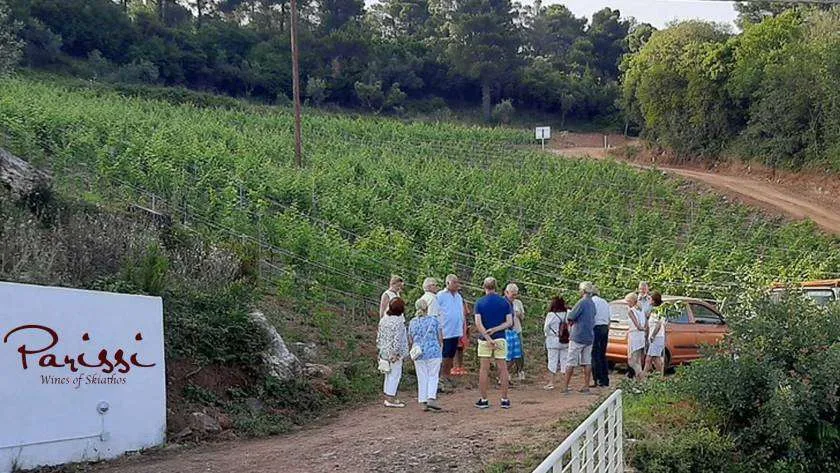 People having wine tasting and a tour in vineyards in Skiathos. 