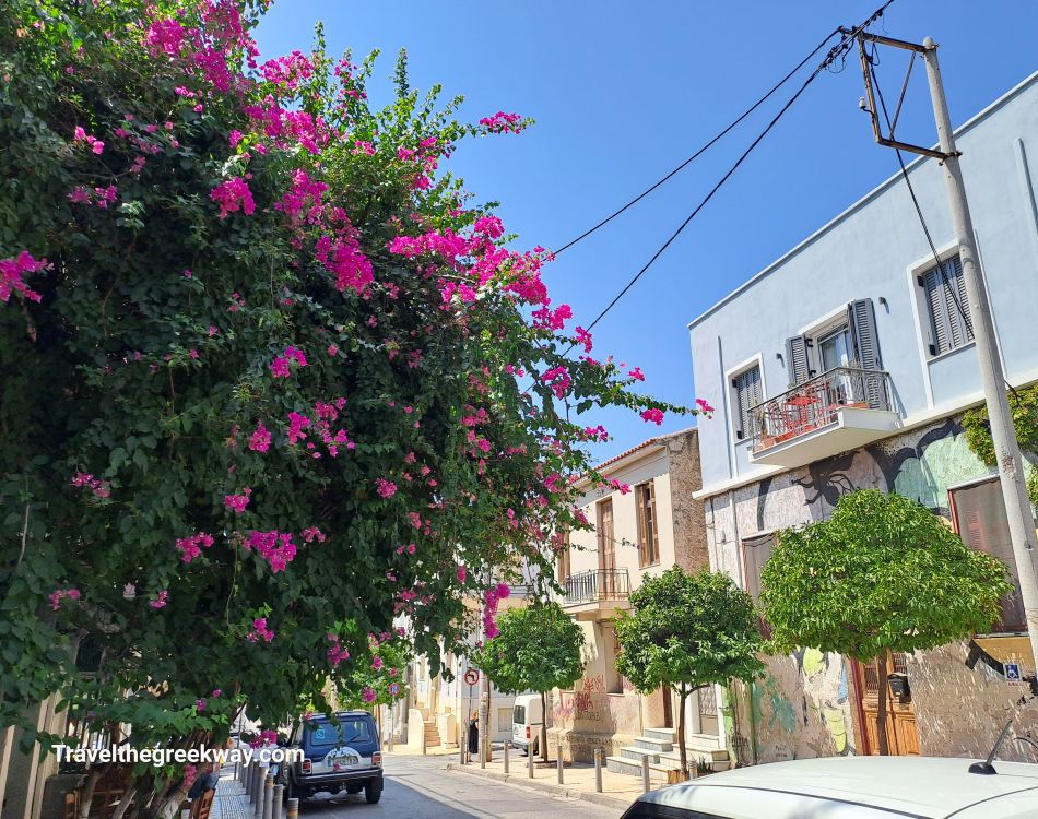 Street in Athens with vibrant pink bougainvillea covering a building, flanked by traditional and modern houses