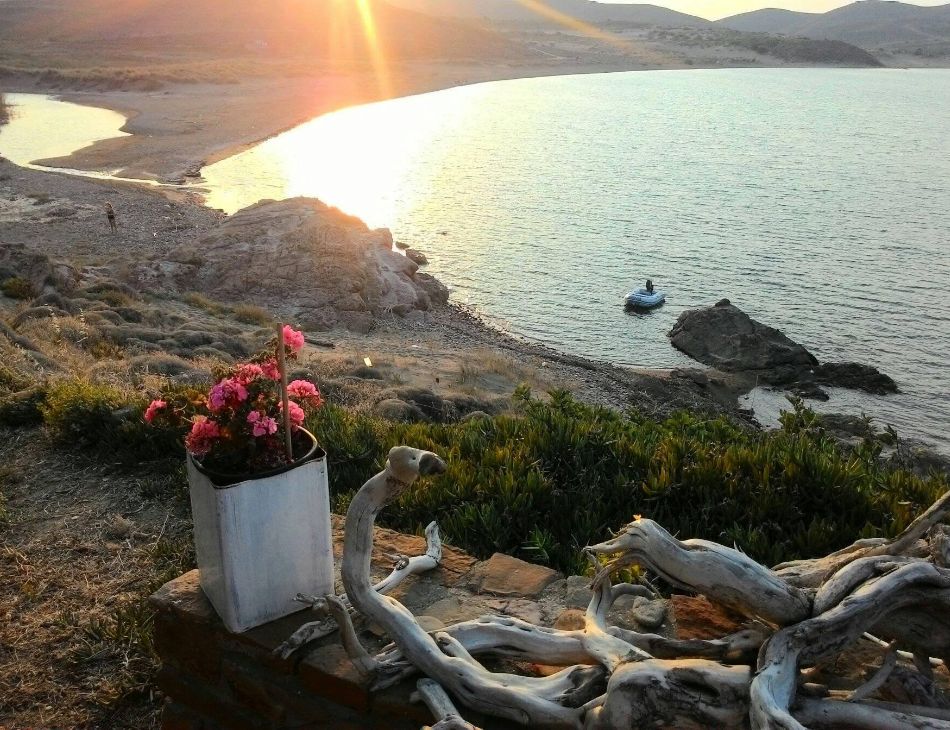 Gomati Beach at sunset, with a view of the bay and vibrant flowers placed on the ledge.