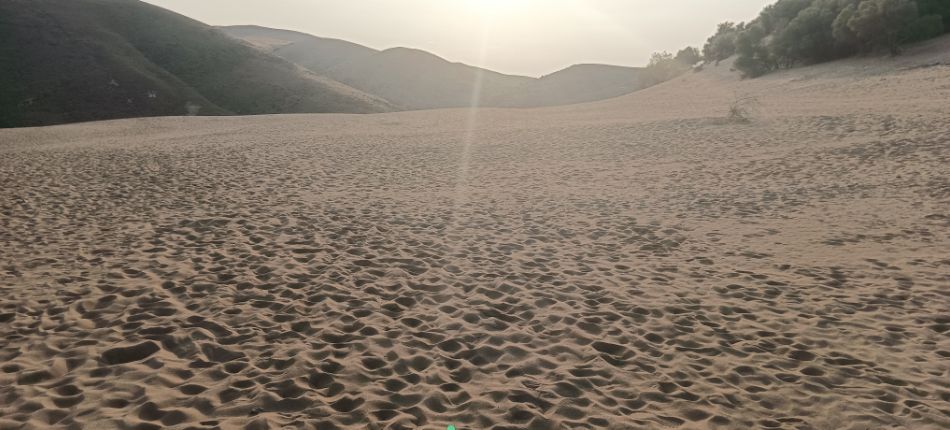 Wide expanse of sandy terrain at sunset in Lemnos' sand dunes, with gentle hills and trees in the background.