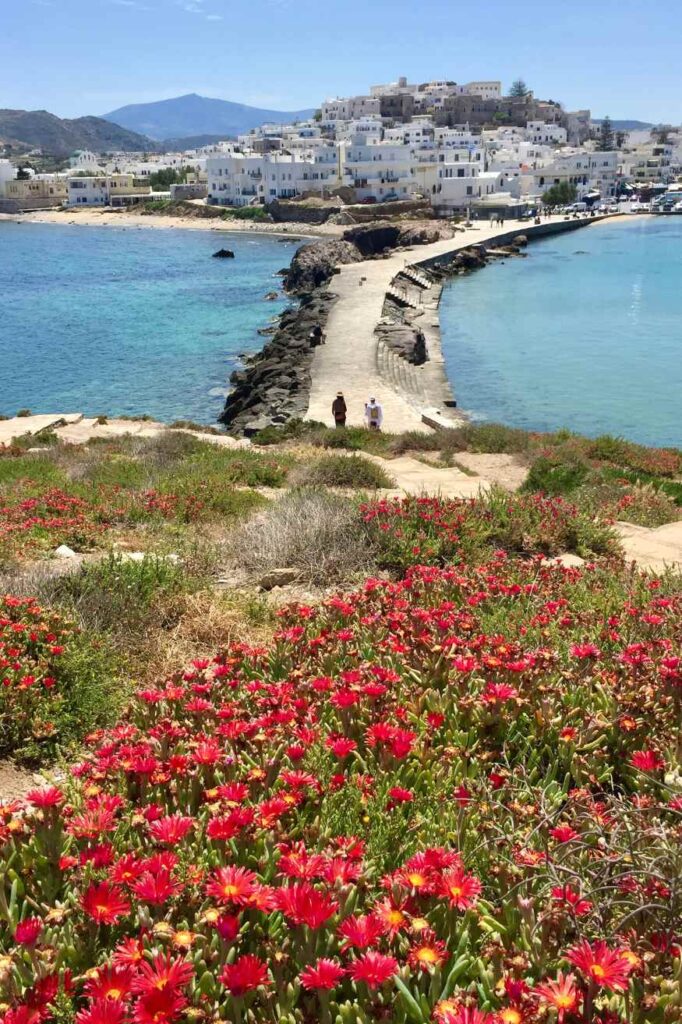 Colorful wildflowers in the foreground with a coastal view of Naxos town in spring.