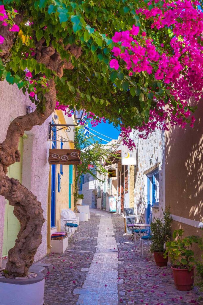 Charming narrow street in Syros with bright bougainvillea, colorful doors, and cobblestone paths.