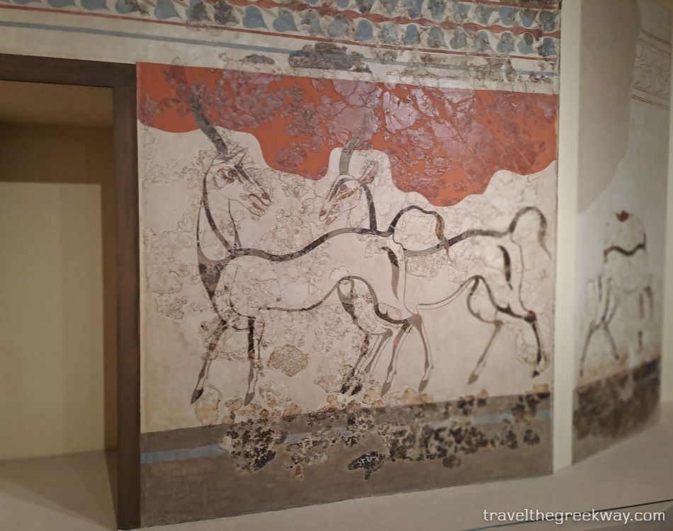 Ancient fresco of antelopes from Akrotiri, Santorini, exhibited at the National Archaeological Museum in Athens.