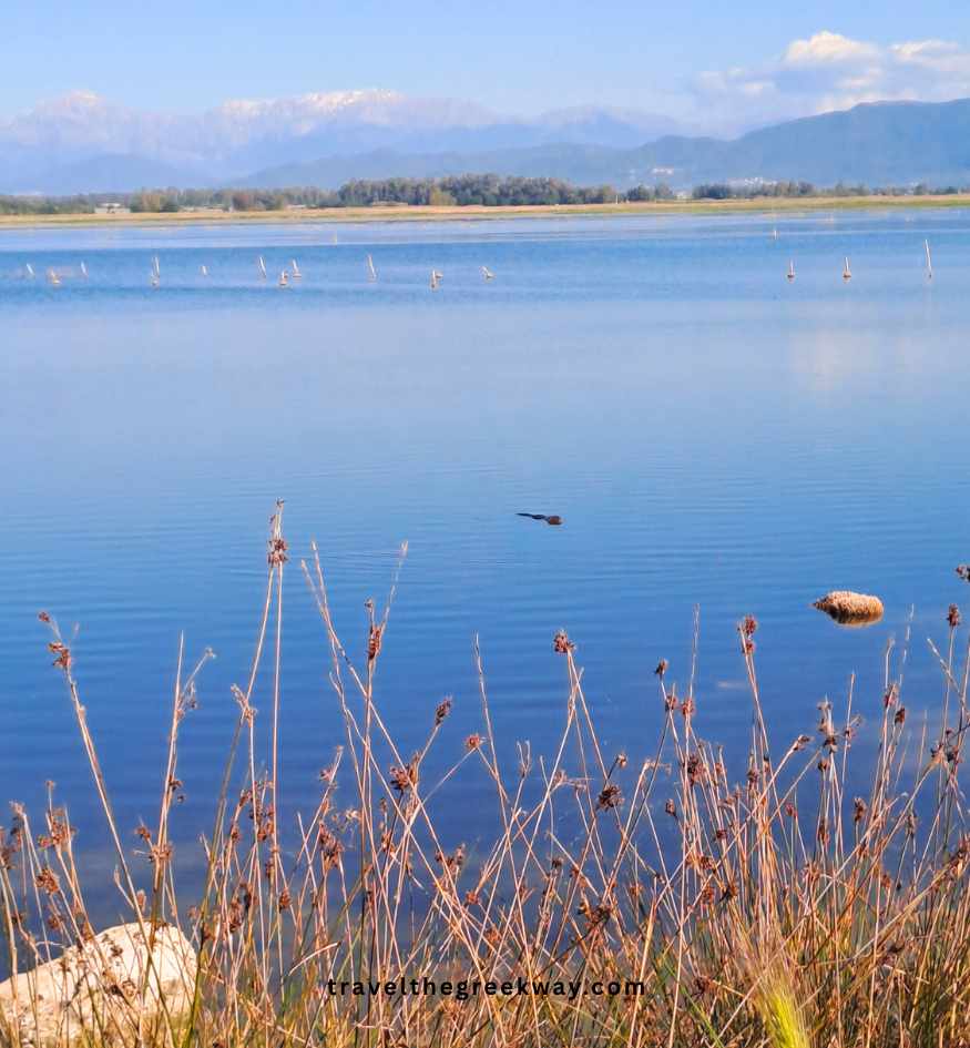 Serene blue waters of the Kalogria wetland in Peloponnese, Greece, with the snow-capped Erymanthos mountains in the background.