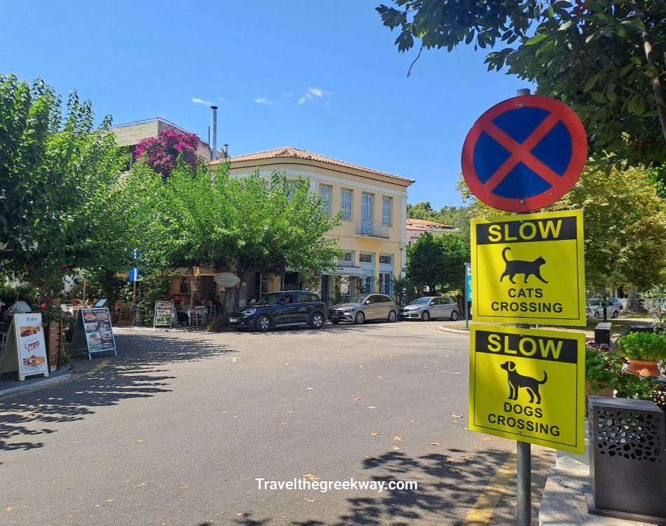 Olympia town square with cafés, cars, and “cats crossing” and “dogs crossing” signs.