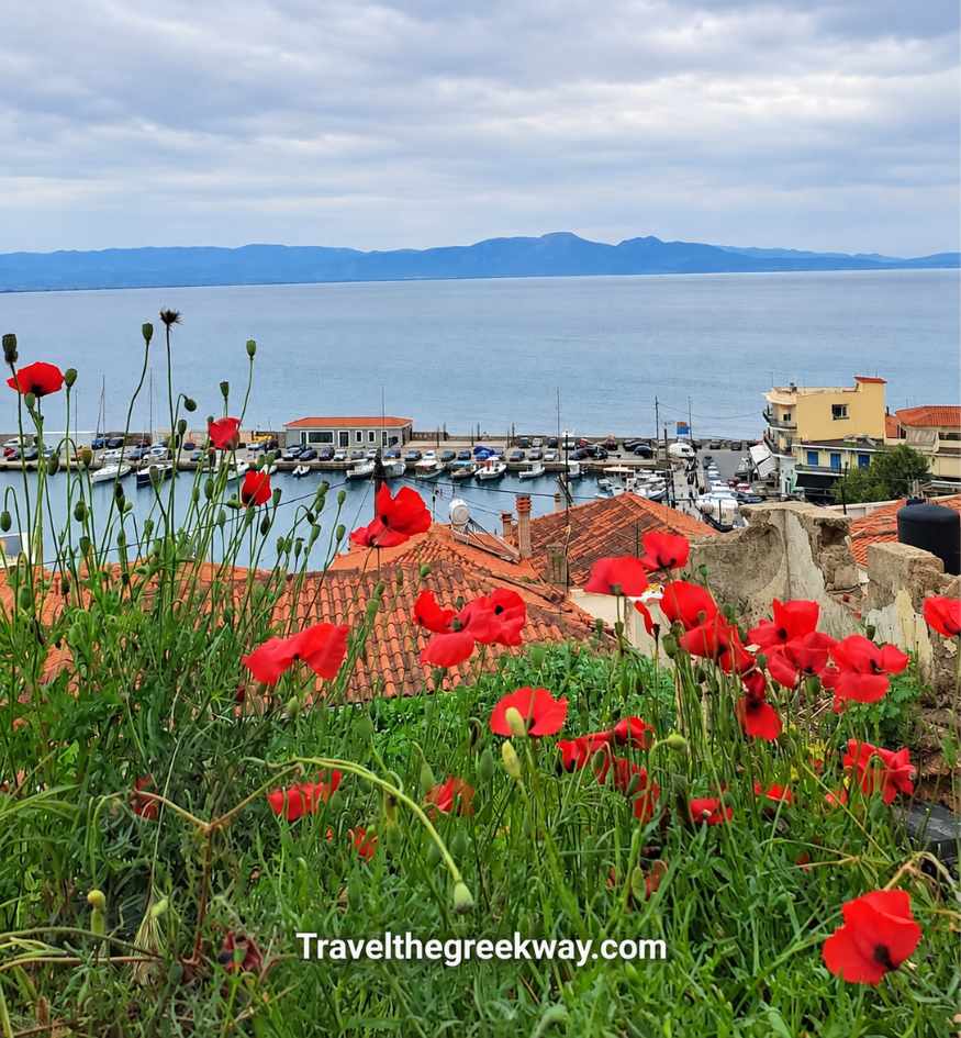 Bright red spring poppies overlooking the red-tiled rooftops, small harbor and blue sea in Gythio, Greece.