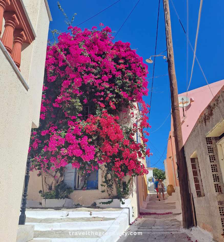 Bright pink bougainvillea covering a traditional house beside a stepped alley in Ioulida, the hilltop capital of Kea, Greece.