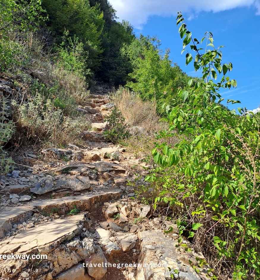 Steep, rocky hiking trail climbing through Vikos Gorge in Zagori, Greece, with uneven natural stone steps, dry grasses, green shrubs, and dense forest along the mountainside.